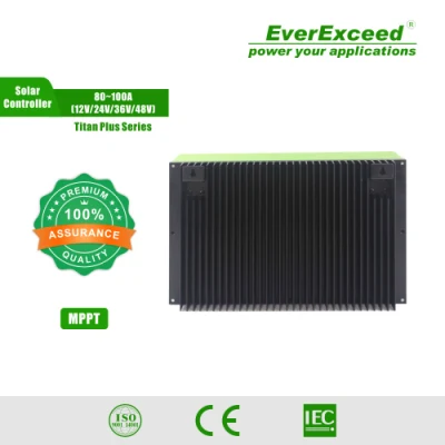 Heißer Verkauf Everexceed 12V/24V/36V/48V Ladung Produkte Erneuerbare Energie Chage für Solar System Controller